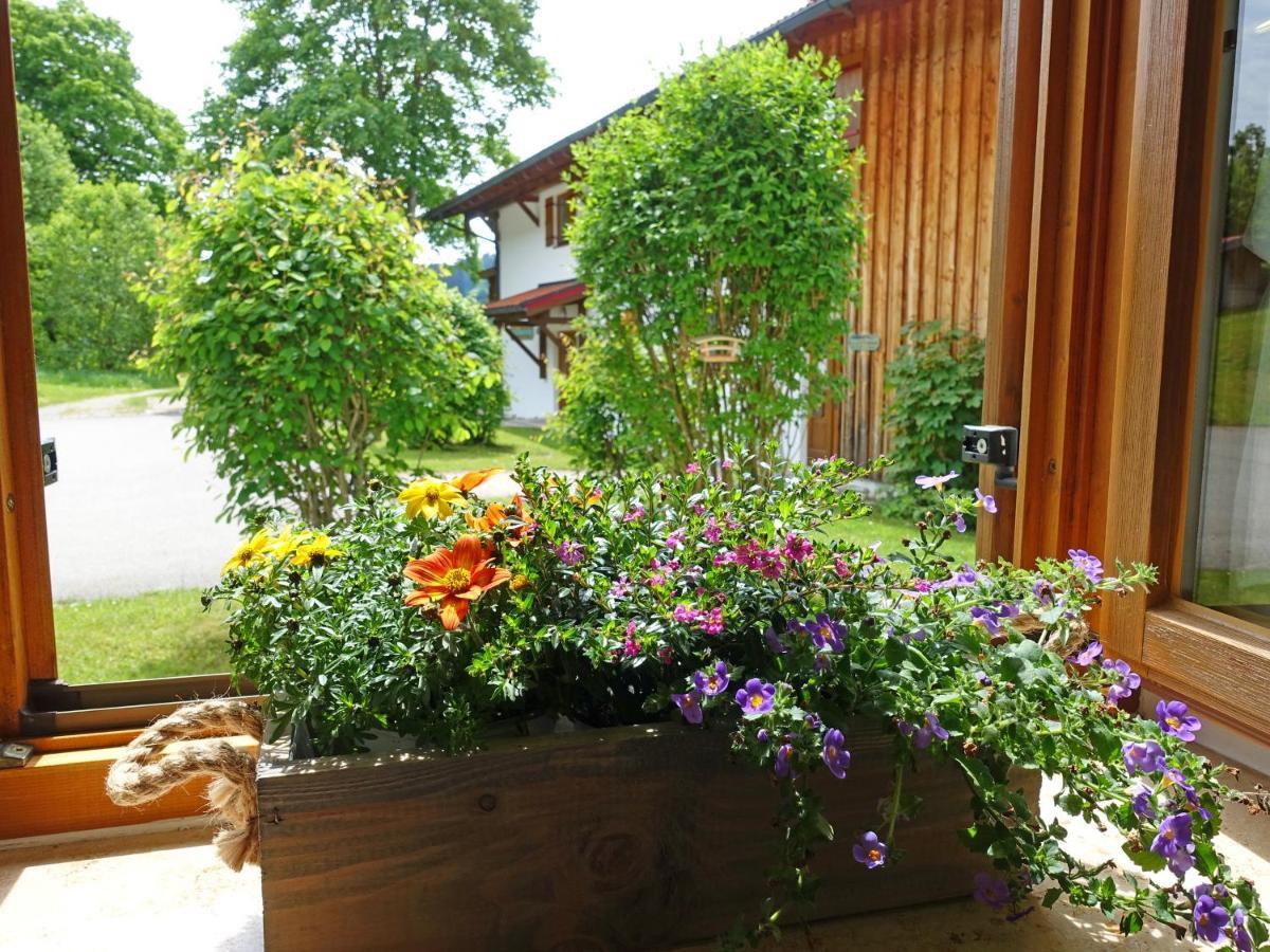 Ferienwohnung Murmeltier Sachrang Exterior foto